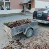 IMG_20201106_122722.jpg