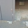 IMG_20201022_080206.jpg