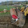 IMG_20201023_173320.jpg