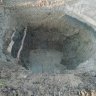 IMG_20201027_070955.jpg