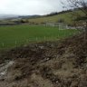 IMG_20201112_073154.jpg