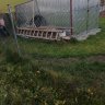 IMG_20201120_114732.jpg