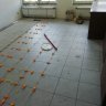 IMG_20210904_124301.jpg