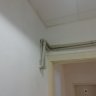IMG_20210802_164524.jpg