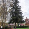 IMG_20231031_084839.jpg
