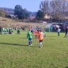 IMG_20231014_091659.jpg