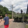 IMG_20190629_105134.jpg