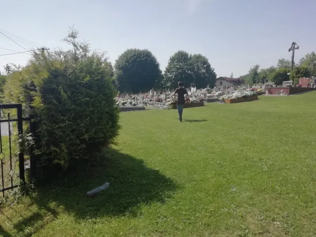 IMG_20190615_095450.jpg