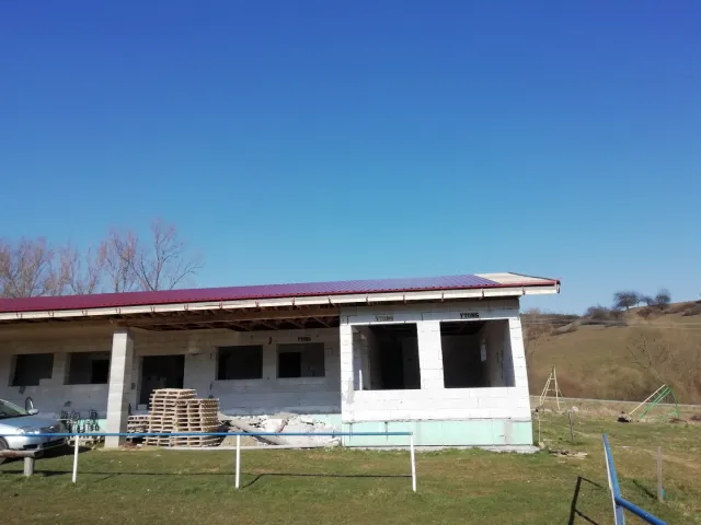 IMG_20200402_161144.jpg
