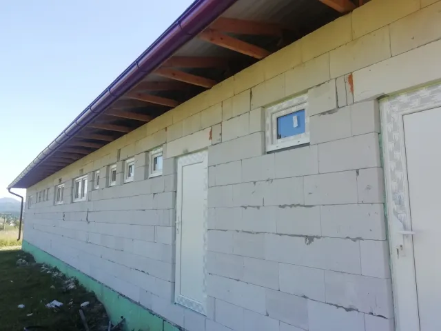 IMG_20200730_170141.jpg