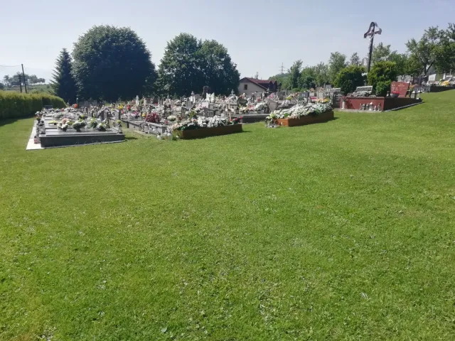 IMG_20190615_095336.jpg