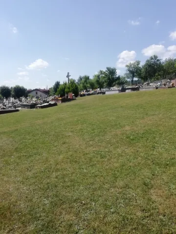 IMG_20210707_103042.jpg