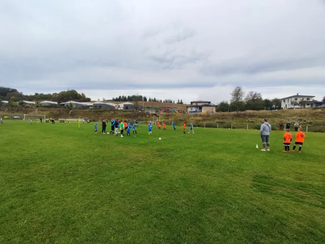 IMG_20240928_092251.jpg