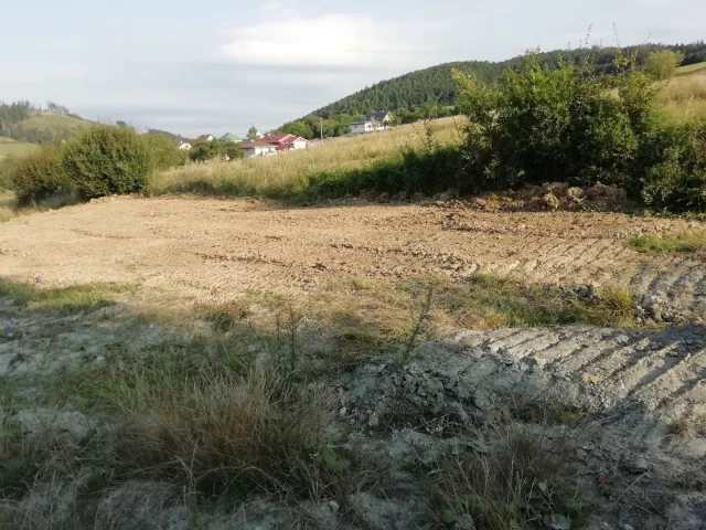IMG_20200829_075931.jpg
