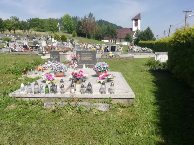 IMG_20190615_095301.jpg