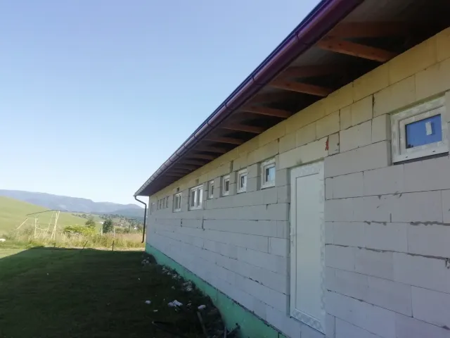 IMG_20200730_170142.jpg