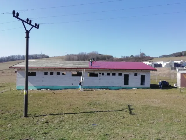 IMG_20200328_100941.jpg