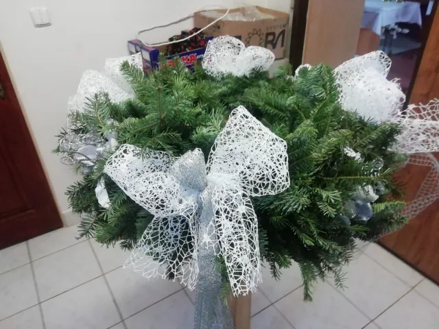 IMG_20201127_130953.jpg