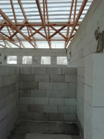 IMG_20200306_155551.jpg