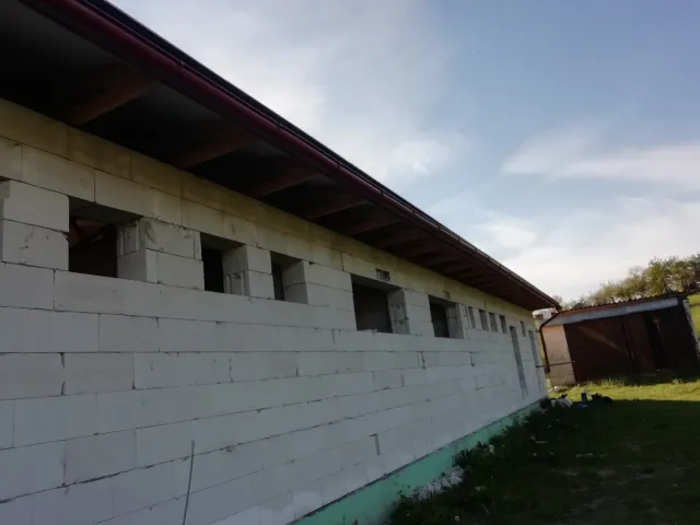 IMG_20200508_181504.jpg