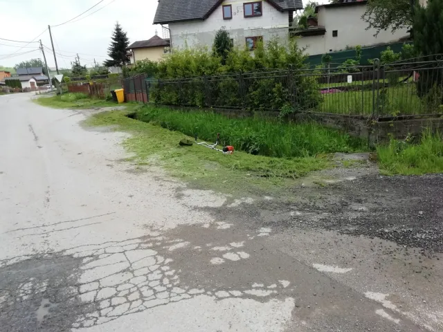 IMG_20190524_141456.jpg