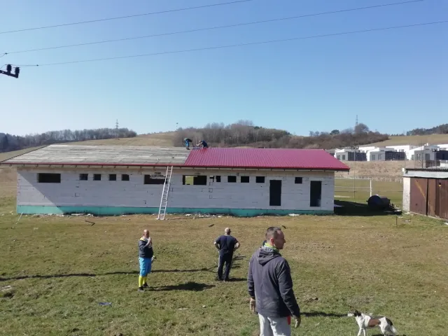 IMG_20200328_101018.jpg