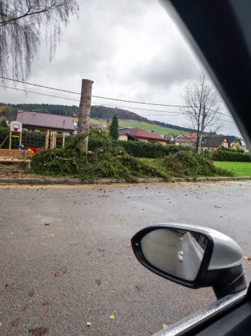 IMG_20231117_124944.jpg