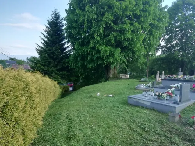IMG_20190524_183610.jpg