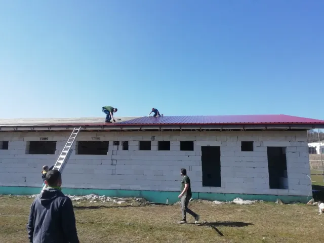 IMG_20200328_095626.jpg