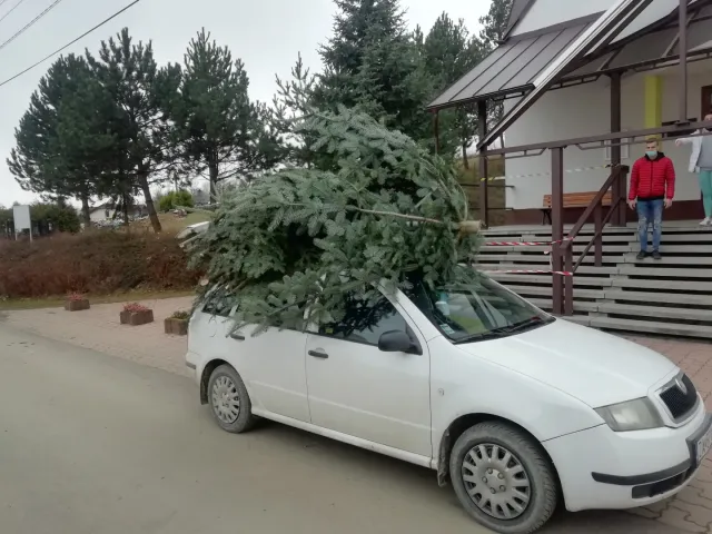 IMG_20201220_140210.jpg