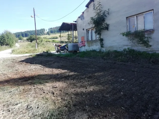 IMG_20200828_101222.jpg