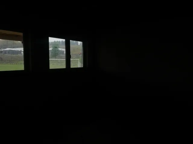 IMG_20201013_112527.jpg